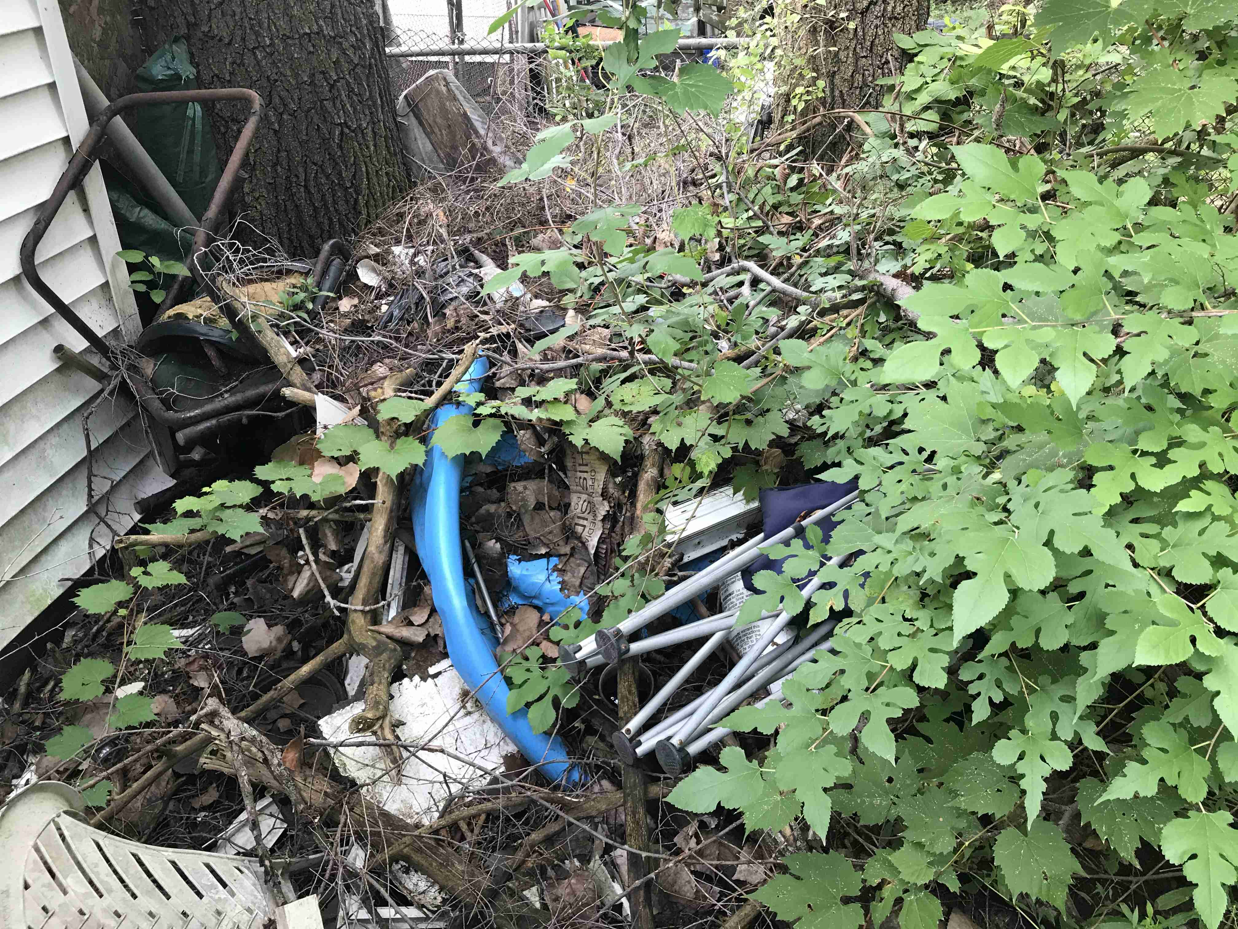 Photo Sep 09, 5 07 08 PM.jpg